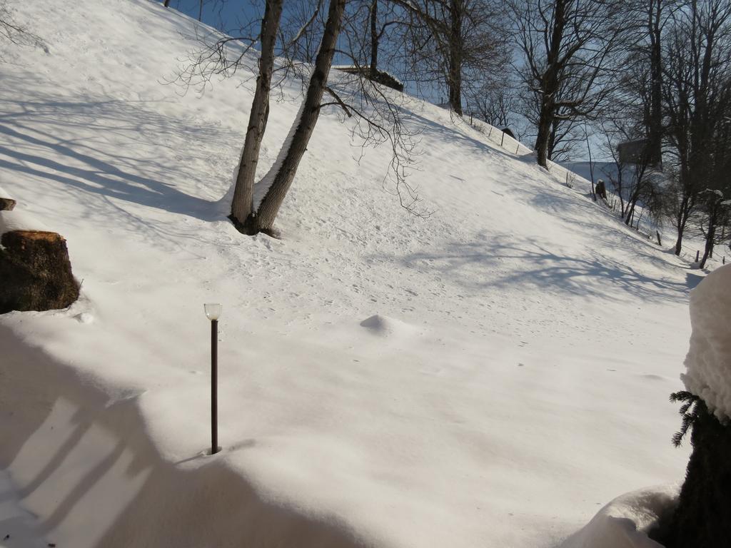 Mountainlodge Dorfhaus レンクグリース エクステリア 写真